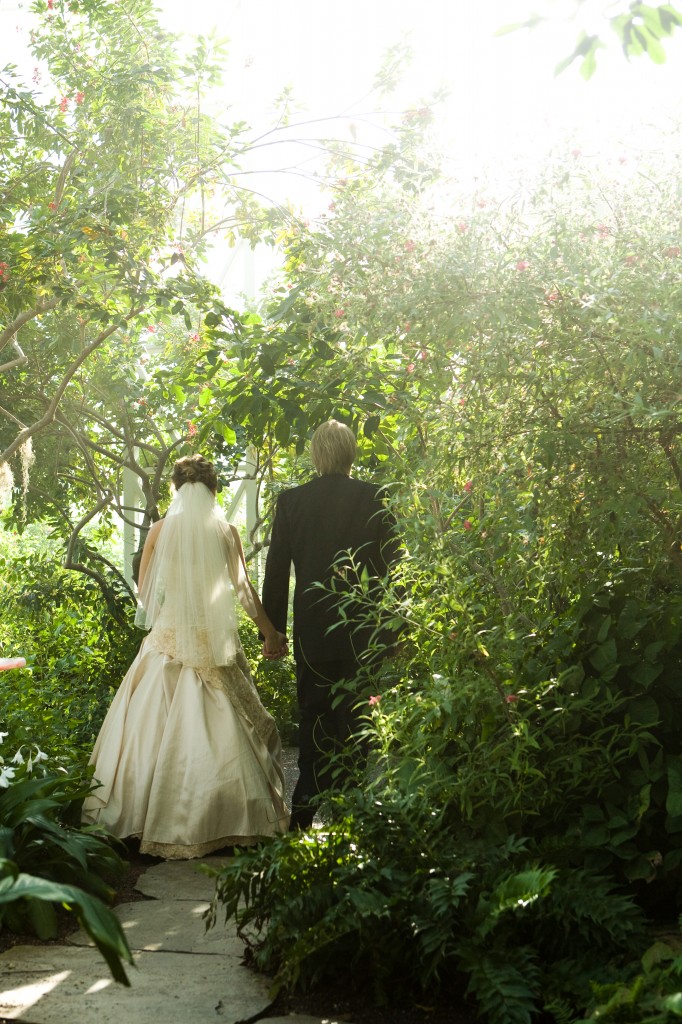 Walking through the Butterfly House