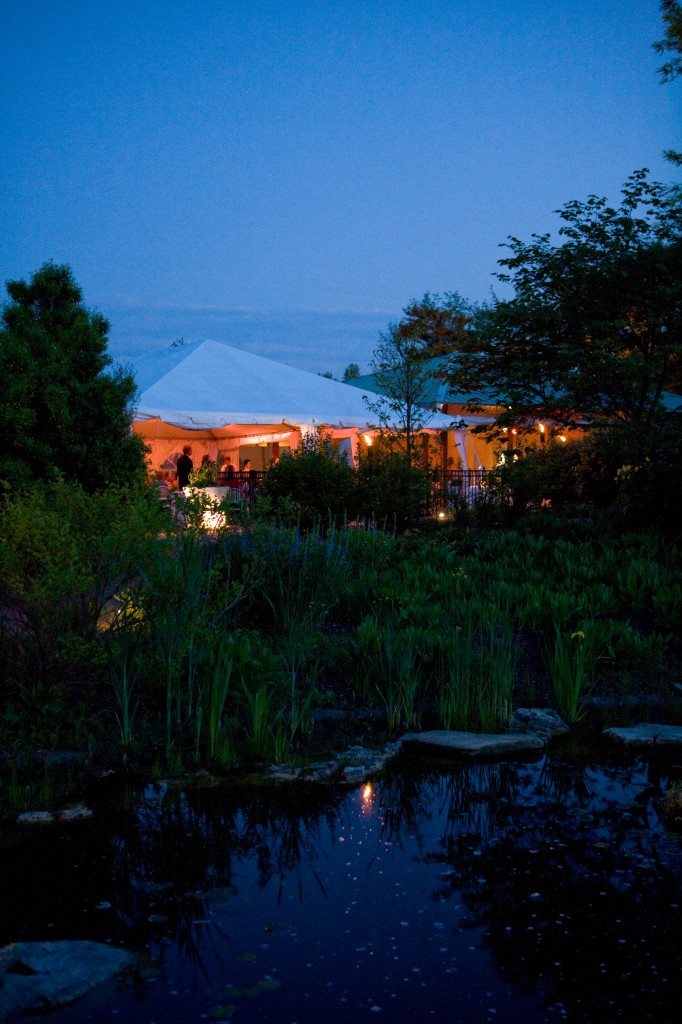 Butterfly House at Night