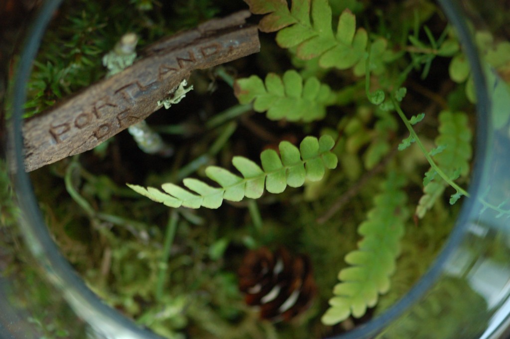 Portland Terrarium