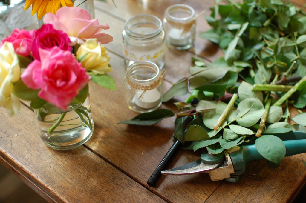 Rose clippings