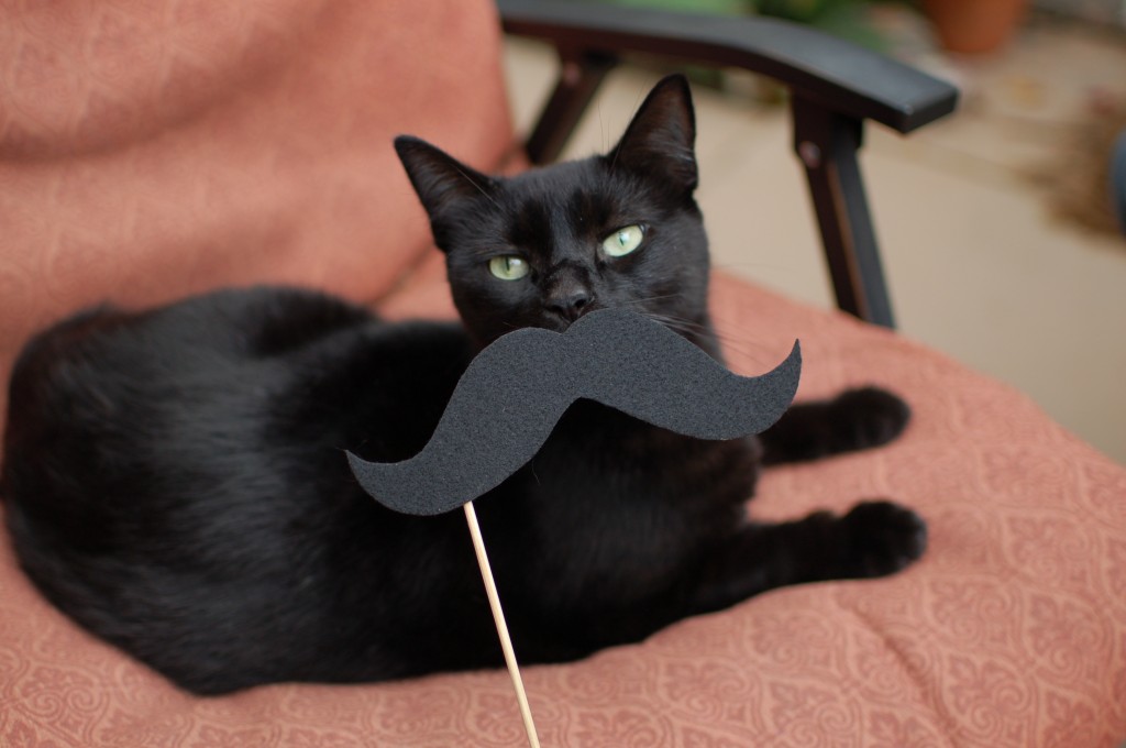 Pixel with a mustache