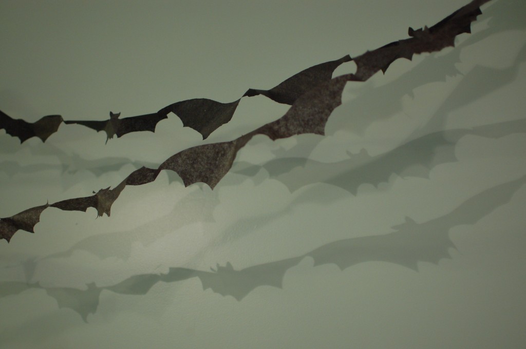 Bat shadows