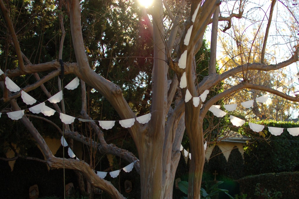 Doilies hanging in the tree