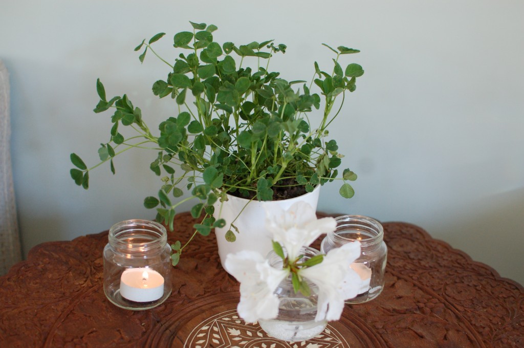 St. Patrick's Day centerpieces
