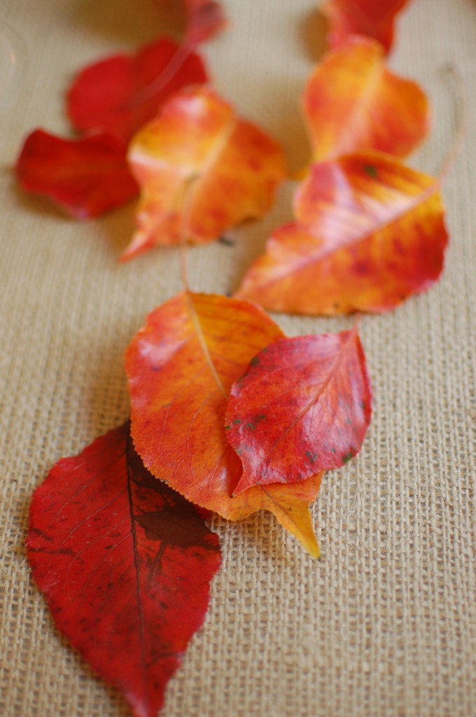 Red leaves on burlap