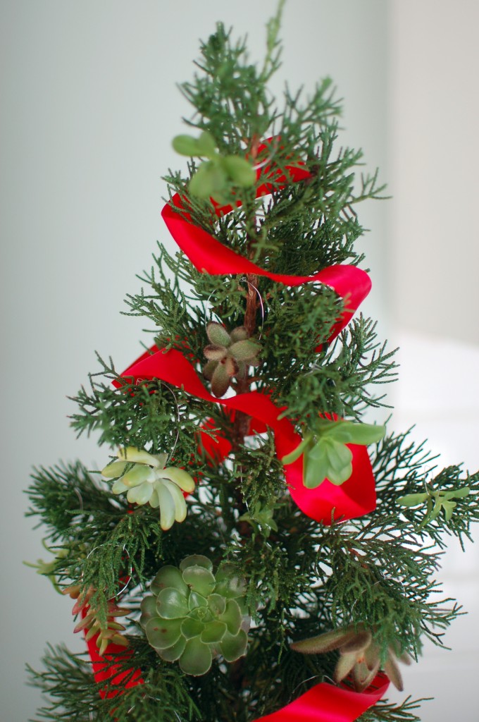 Succulent ornaments on a mini tree