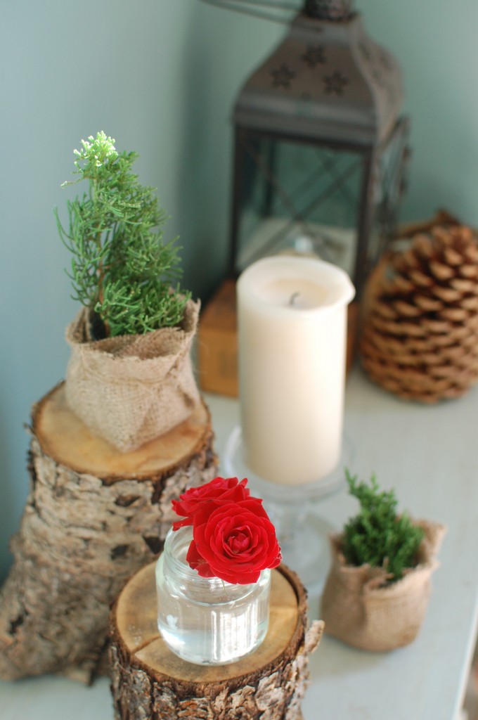 Rustic Christmas accessories