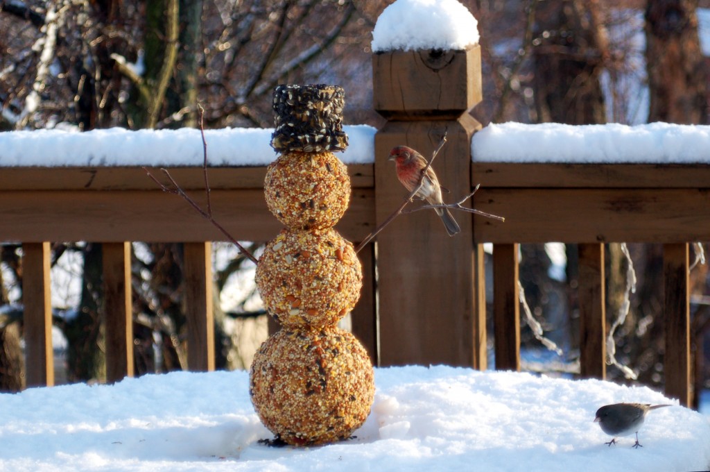 Bird seed snowman