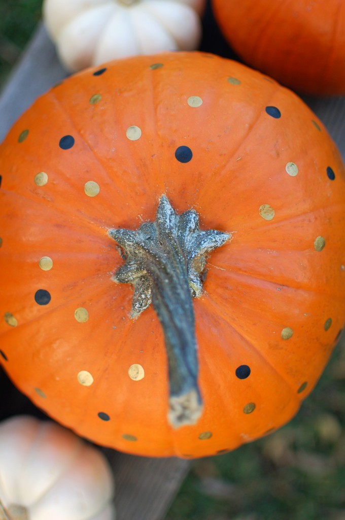 Polka dot pumpkin