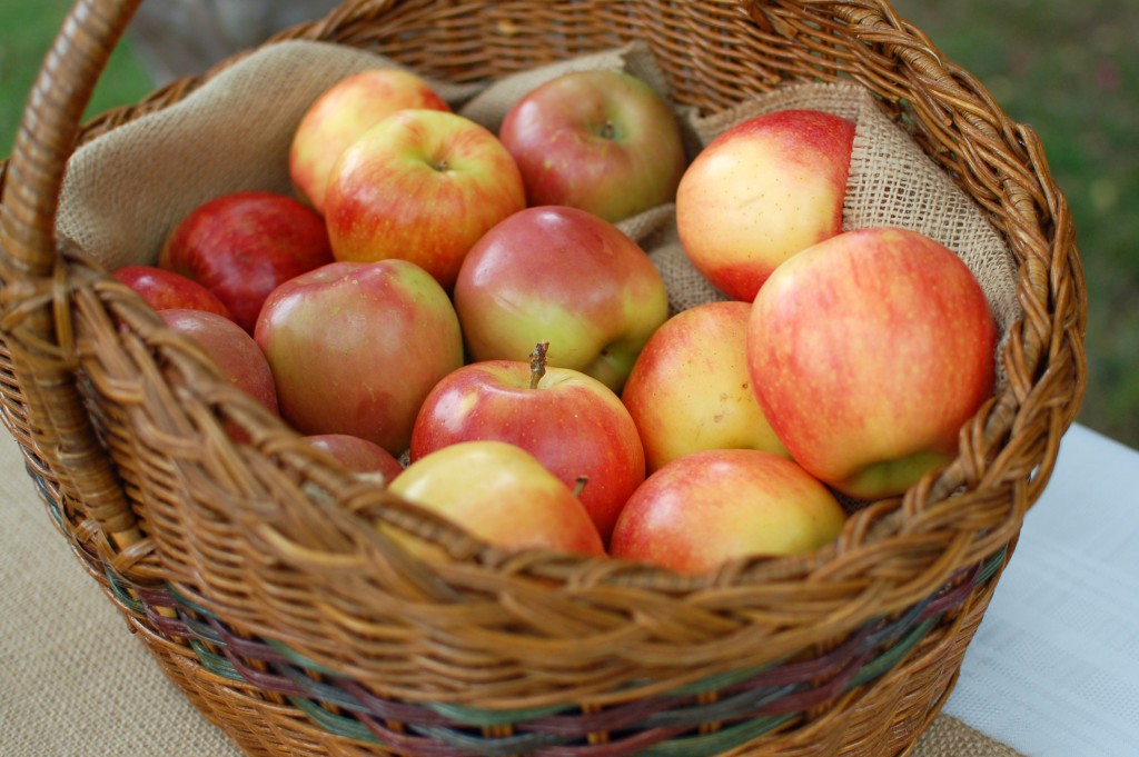 Apples for dipping