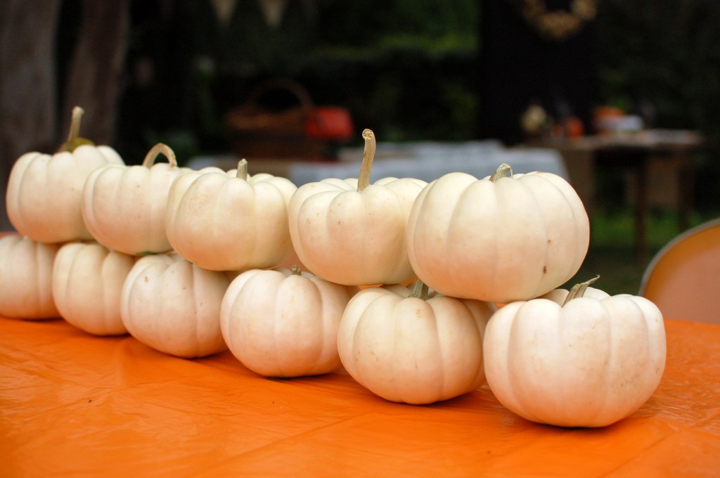 Pumpkin painting table