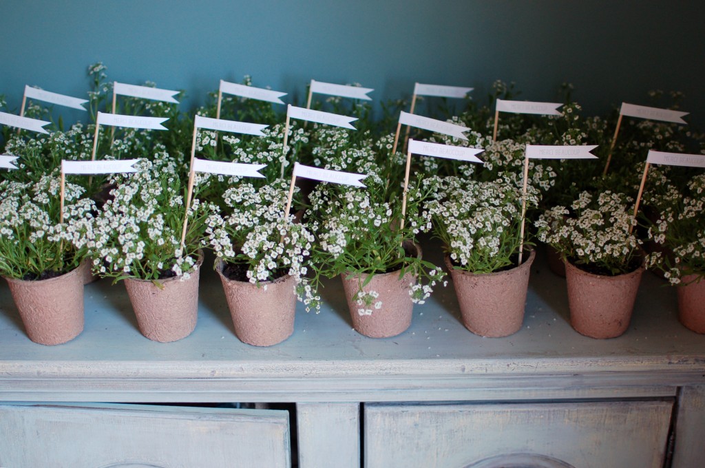 potted flower favors | seakettle