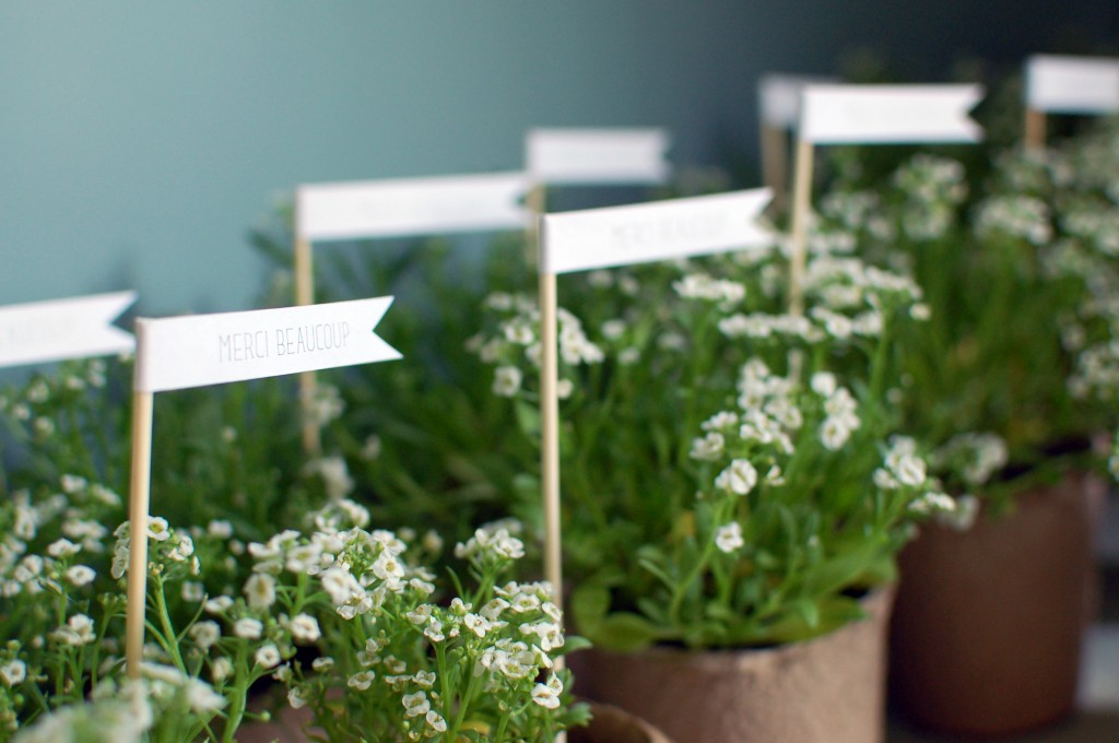 Potted favors and decorative flags