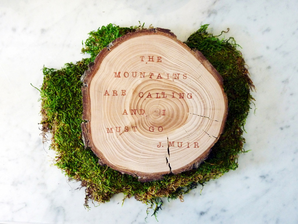 Stamped wood slice with moss and marble