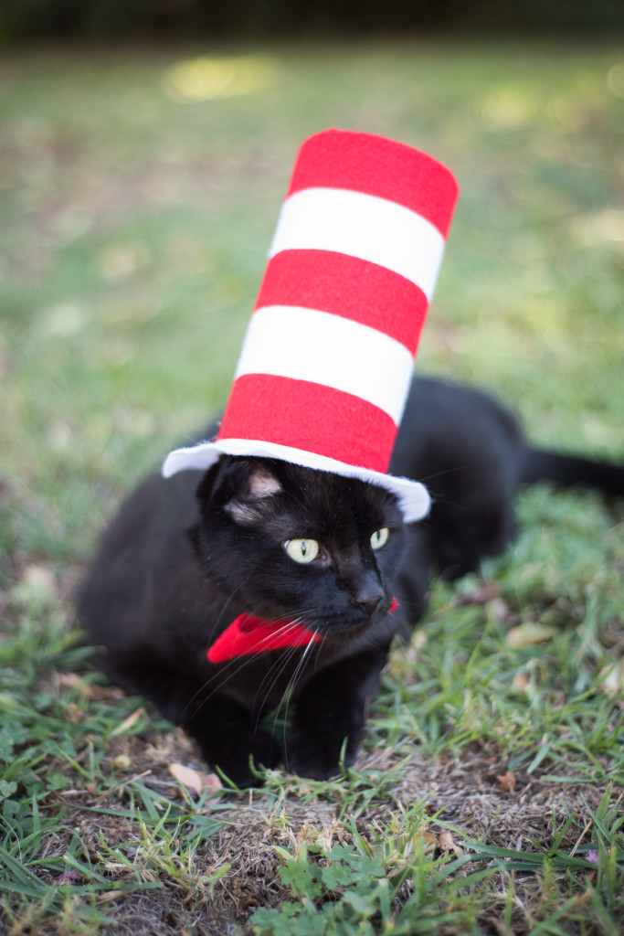 Cat in the Hat Cat Costume