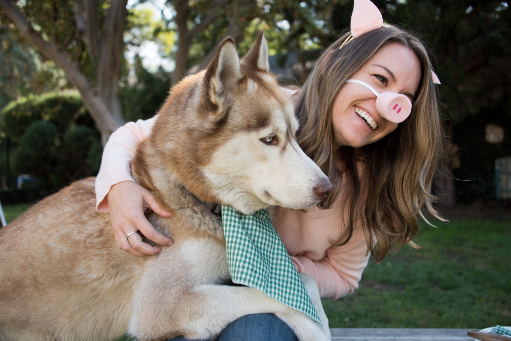 Big bad wolf dog costume